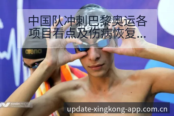 中国队冲刺巴黎奥运各项目看点及伤病恢复对赛程影响分析 - 星空官网