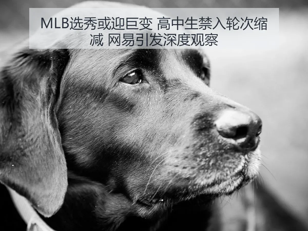 MLB选秀或迎巨变 高中生禁入轮次缩减 引发深度观察